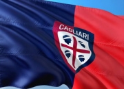 开云体育在线直播-卡利亚里新援表现生涩，球队主帅迫切需要调整阵容，卡利亚里转入球员