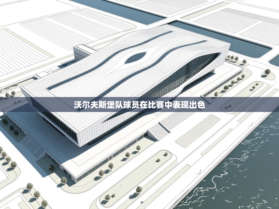 沃尔夫斯堡队球员在比赛中表现出色